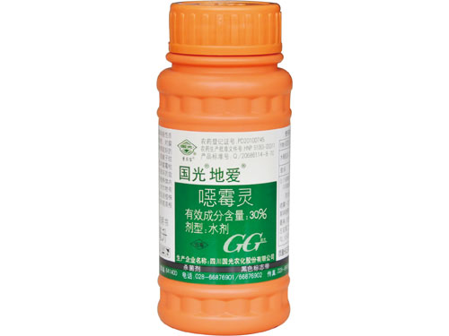 國(guó)光地愛